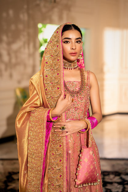 Carnation Pink Lehnga Choli