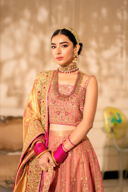 Carnation Pink Lehnga Choli