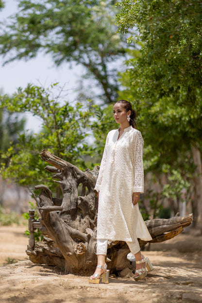 White chikankari outfit