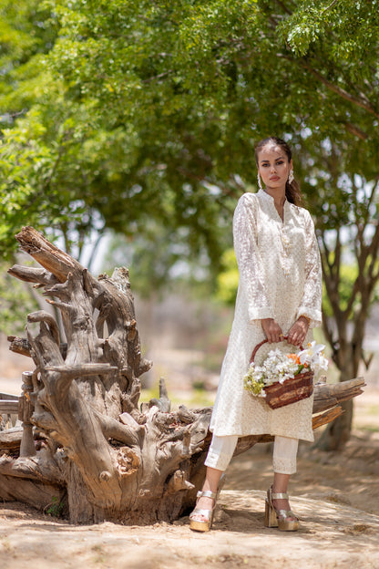 White chikankari outfit