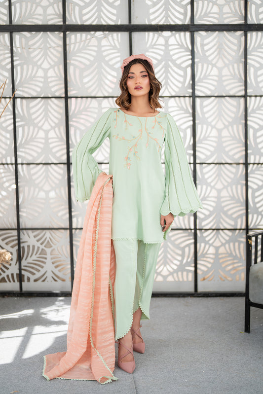 Mint Green with Peach dupatta pret