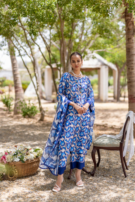 Blue printed Silk outfit